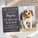 Search for come sit stay invitations Pet