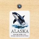 Search for orca magnets Cruise