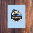 Search for water sport postcards Vacation