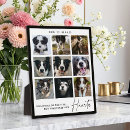 Search for side pet supplies In loving memory