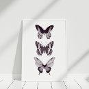 Search for butterfly on black art Animals