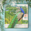 Search for peacock quote Bird