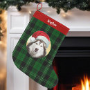 Search for wear christmas stockings Dogs