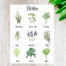 Search for rosemary herb posters Herbs
