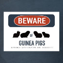 Search for guinea pig posters Funny