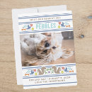 Search for cute dog image cards For pets