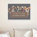 Search for groomer posters Pet care