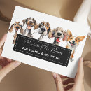 Search for puppy flyers Dog groomer