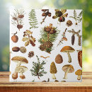 Search for acorn coasters Tree