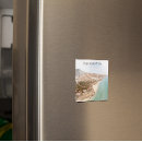 Search for canaries magnets Spain