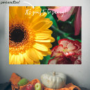 Search for yellow gerbera Botanical