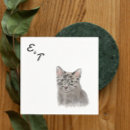 Search for grey cat napkins Kitty