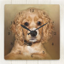 Search for cocker spaniel clocks Canine
