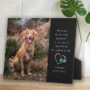 Search for photo pet memorials Heart