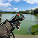 Search for jamaica golf equipment Reggae