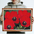 Search for red eye posters Floral