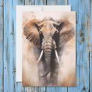 Search for big game cards Hunting