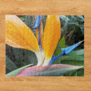Search for tropical birds puzzles Floral