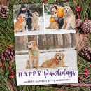 Search for purple seasonal cards Photo collage