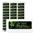 Search for daisy return address labels White flower
