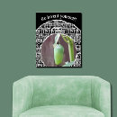 Search for chrysalis Black