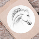 Search for white stallion stickers Equine