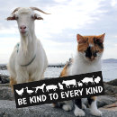 Search for every bumper stickers Be kind