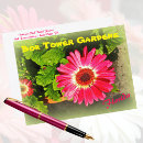 Search for aster photography Botanical