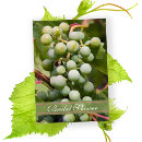 Search for grapes bridal shower invitations Vineyard