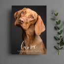 Search for dog sympathy cards In loving memory