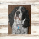Search for english springer spaniel puzzles Pet