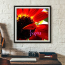 Search for orange daisy art Floral