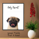 Search for pug picture posters Cute