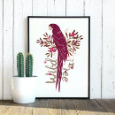 Search for ara posters Bird