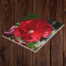 Search for red hibiscus flower tiles Botanical