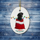 Search for black lab puppy christmas tree decorations Animal