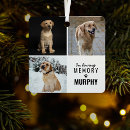 Search for tribute pet memorials Keepsake