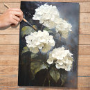 Search for hydrangea flowers White