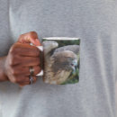 Search for red tailed hawk mugs Nature photography