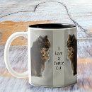 Search for torti mugs Tortoiseshell cat