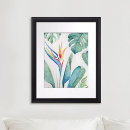 Search for bird of paradise art posters Flower