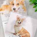 Search for funny dog office supplies Cute