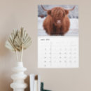 Search for highland cow office supplies Calendar