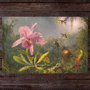 Search for fauna Floral