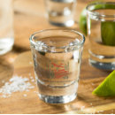 Search for cactus barware Bachelorette