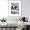 Search for black and white palm tree posters Photography
