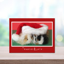 Search for guinea pig christmas cards Cavy