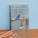 Search for blue jay photography Birds