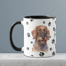 Search for wired mugs Dachshund