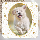Search for gold glitter photo stickers Chic